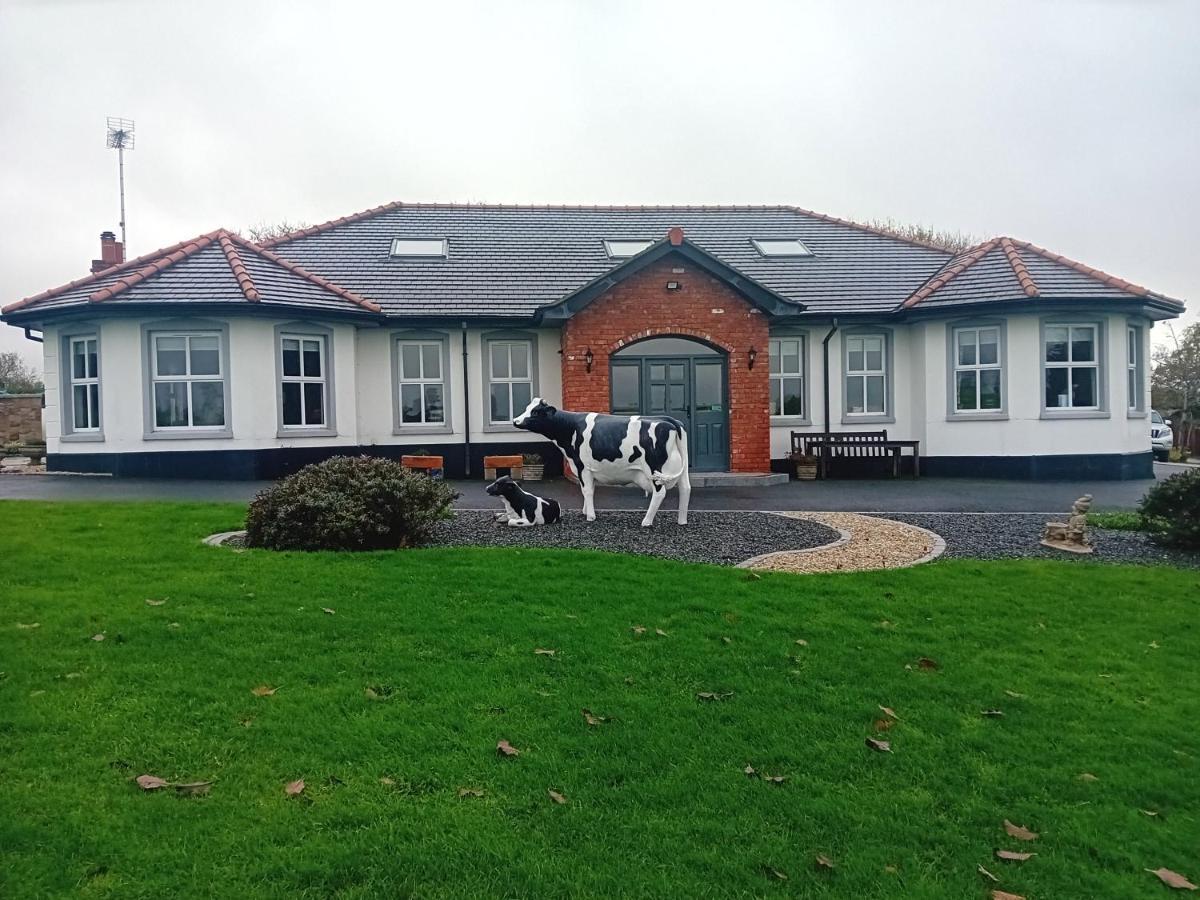 Creeghduff Lodge Downpatrick Exterior foto